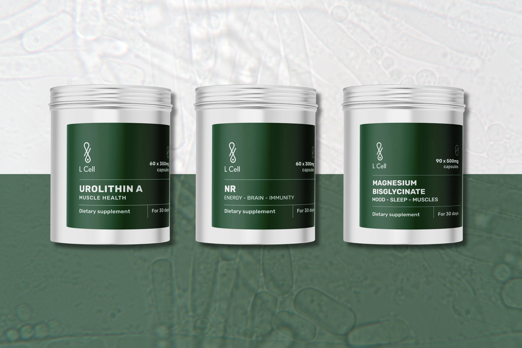 Rakuline energia ja pikaealisus: mida saate teha juba täna