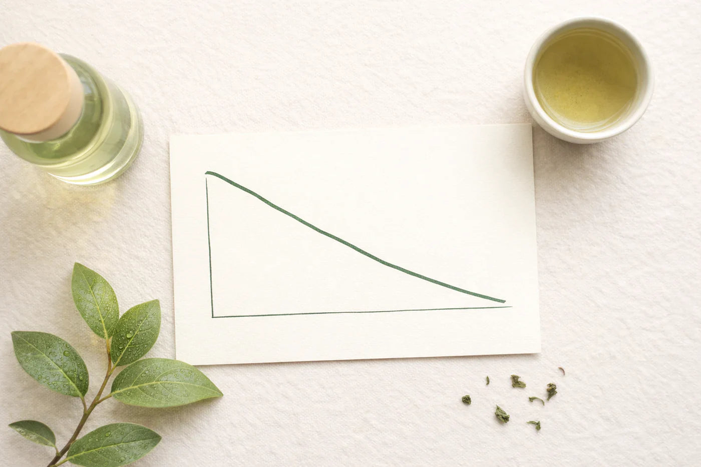 Miks energia vanusega väheneb ja kuidas seda toetada